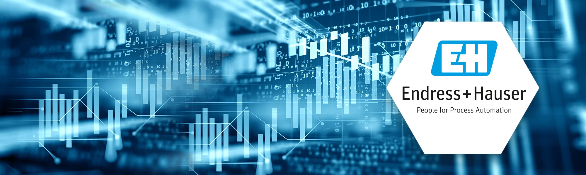EndressHauser_2000x600px
